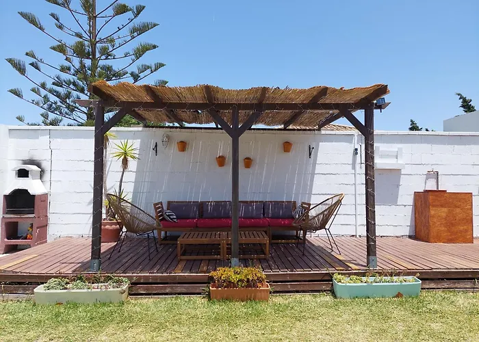 Single Fin Conil