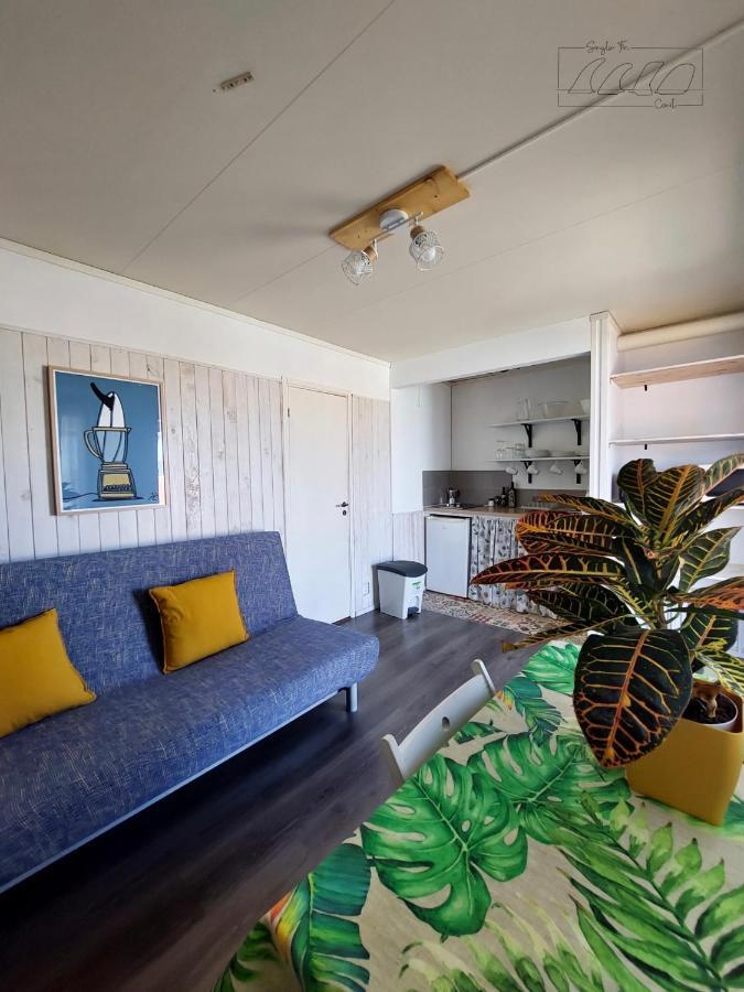 Single Fin Conil